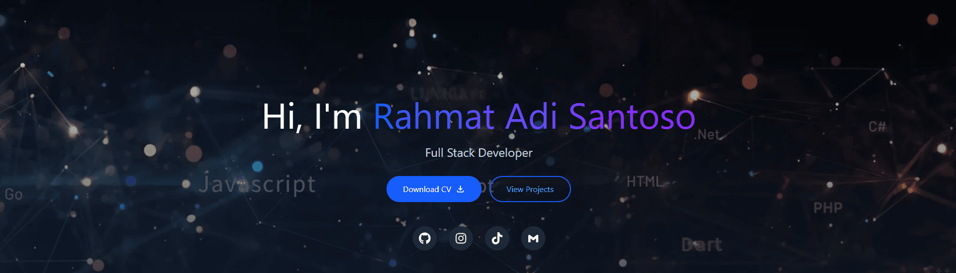 Portfolio Website project preview